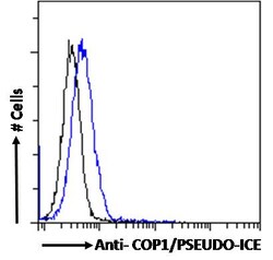 Invitrogen COP1 Polyclonal Antibody 100 &mu;g; Unconjugated:Antibodies,