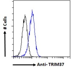 Invitrogen TRIM37 Polyclonal Antibody 100 &mu;g | Buy Online | Invitrogen&trade; | Fisher Scientific