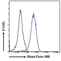 Invitrogen RAD51AP1 Polyclonal Antibody 100 &mu;g; Unconjugated:Antibodies,