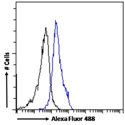 Invitrogen CECR2 Polyclonal Antibody 100 &mu;g; Unconjugated:Antibodies,