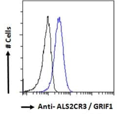 Invitrogen TRAK2 Polyclonal Antibody 100 &mu;g; Unconjugated:Antibodies,