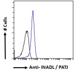 Invitrogen PATJ Polyclonal Antibody 100 &mu;g; Unconjugated:Antibodies,