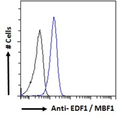 Invitrogen EDF1 Polyclonal Antibody 100 &mu;g; Unconjugated:Antibodies,