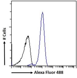 Invitrogen BRG1 Polyclonal Antibody 100 &mu;g; Unconjugated:Antibodies,