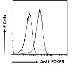 Invitrogen FOXP3 Polyclonal Antibody 100 &mu;g; Unconjugated:Antibodies,