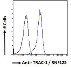 Invitrogen TRAC-1 Polyclonal Antibody 100 &mu;g; Unconjugated:Antibodies,