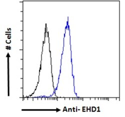 Invitrogen EHD1 Polyclonal Antibody 100 &mu;g; Unconjugated:Antibodies,