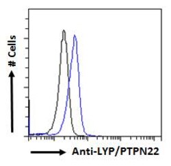Invitrogen PTPN22 Polyclonal Antibody 100 &mu;g | Buy Online | Invitrogen&trade; | Fisher Scientific