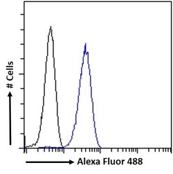 Invitrogen HRH2 Polyclonal Antibody 100 &mu;g; Unconjugated:Antibodies,