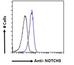 Invitrogen NOTCH3 Polyclonal Antibody 100 &mu;g; Unconjugated:Antibodies,