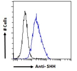 Invitrogen SHH Polyclonal Antibody 100 &mu;g; Unconjugated:Antibodies,