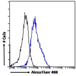 Invitrogen TPH2 Polyclonal Antibody 100 &mu;g | Buy Online | Invitrogen&trade; | Fisher Scientific