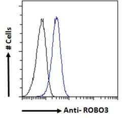 Invitrogen ROBO3 Polyclonal Antibody 100 &mu;g; Unconjugated:Antibodies,