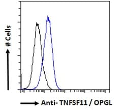 Invitrogen RANKL Polyclonal Antibody 100 &mu;g; Unconjugated:Antibodies,