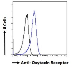 Invitrogen Oxytocin Receptor Polyclonal Antibody 100 &mu;g; Unconjugated:Antibodies,