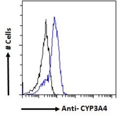 Invitrogen CYP3A4 Polyclonal Antibody 100 &mu;g; Unconjugated:Antibodies,