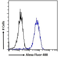 Invitrogen ZNF217 Polyclonal Antibody 100 &mu;g; Unconjugated:Antibodies,