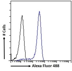 Invitrogen SOX2 Polyclonal Antibody 100 &mu;g; Unconjugated:Antibodies,