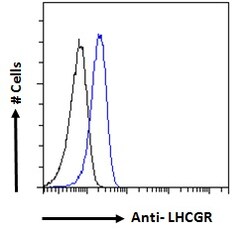 Invitrogen LHR Polyclonal Antibody 100 &mu;g; Unconjugated:Antibodies,