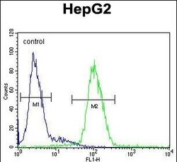 Invitrogen Ceruloplasmin Polyclonal Antibody 400 μL; Unconjugated:Antibodies,