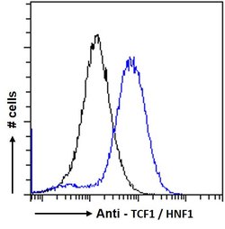 Invitrogen HNF1A Polyclonal Antibody 100 &mu;g; Unconjugated:Antikörper
