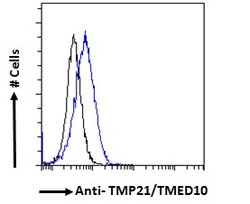 Invitrogen TMP21 Polyclonal Antibody 100 &mu;g; Unconjugated:Antibodies,