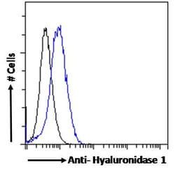 Invitrogen HYAL1 Polyclonal Antibody 100 &mu;g; Unconjugated:Antibodies,