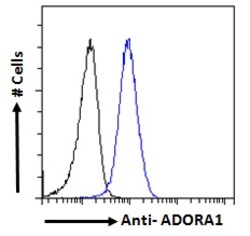 Invitrogen ADORA1 Polyclonal Antibody 100 &mu;g; Unconjugated:Antibodies,