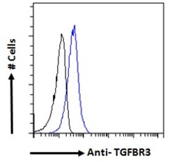Invitrogen TGFBR3 Polyclonal Antibody 100 μg; Unconjugated:Antibodies,