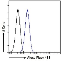 Invitrogen MYPT1 Polyclonal Antibody 100 &mu;g; Unconjugated:Antibodies,