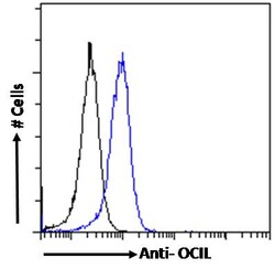 CLEC2D Polyclonal Antibody:Antibodies, Polyclonal