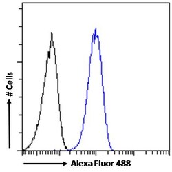 Invitrogen SMC5 Polyclonal Antibody 100 &mu;g; Unconjugated:Antibodies,
