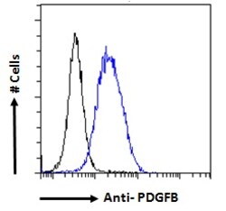 Invitrogen PDGF-B Polyclonal Antibody 100 &mu;g; Unconjugated:Antibodies,