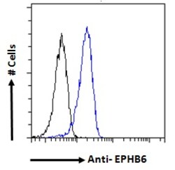 Invitrogen EphB6 Polyclonal Antibody 100 μg; Unconjugated:Antibodies,