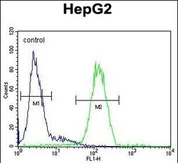 Invitrogen SERPINH1 Polyclonal Antibody 400 μL; Unconjugated:Antibodies,