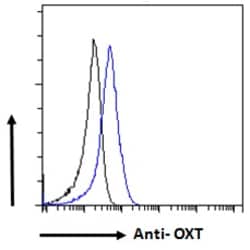 Invitrogen Oxytocin Polyclonal Antibody 100 &mu;g | Buy Online | Invitrogen&trade; | Fisher Scientific