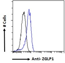 Invitrogen ZGLP1 Polyclonal Antibody 100 &mu;g; Unconjugated:Antibodies,