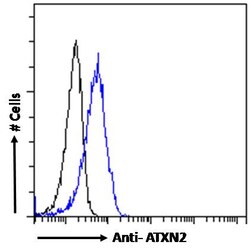 Invitrogen Ataxin 2 Polyclonal Antibody 100 &mu;g; Unconjugated:Antibodies,