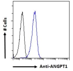 Invitrogen Angiopoietin 1 Polyclonal Antibody 100 μg; Unconjugated:Antibodies,