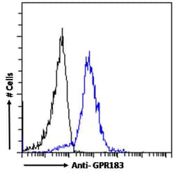 Invitrogen GPR183 Polyclonal Antibody 100 &mu;g; Unconjugated:Antibodies,
