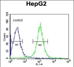 Invitrogen TMPRSS2 Polyclonal Antibody 400 &mu;L; Unconjugated:Antibodies,