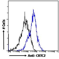 Invitrogen TORC2 Polyclonal Antibody 100 &mu;g; Unconjugated:Antibodies,