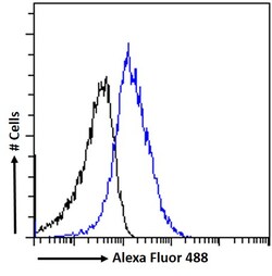 Invitrogen SDF4 Polyclonal Antibody 100 &mu;g | Buy Online | Invitrogen&trade; | Fisher Scientific