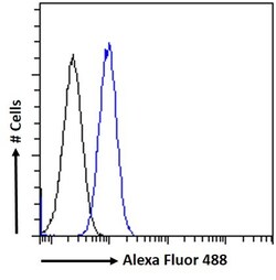 Invitrogen MKRN1 Polyclonal Antibody 100 &mu;g; Unconjugated:Antibodies,