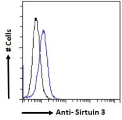 Invitrogen SIRT3 Polyclonal Antibody 100 &mu;g; Unconjugated:Antibodies,