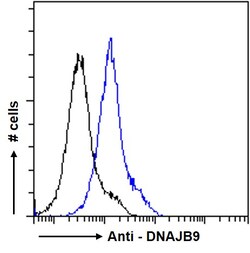 Invitrogen DNAJB9 Polyclonal Antibody 100 &mu;g | Buy Online | Invitrogen&trade; | Fisher Scientific