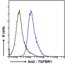 Invitrogen TGFBR1 Polyclonal Antibody 100 &mu;g; Unconjugated:Antibodies,