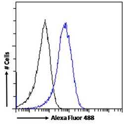 Invitrogen TBK1 Polyclonal Antibody 100 &mu;g; Unconjugated:Antibodies,