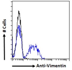 Invitrogen Vimentin Polyclonal Antibody 100 &mu;g; Unconjugated:Antibodies,