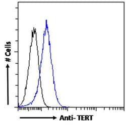Invitrogen TERT Polyclonal Antibody 100 &mu;g; Unconjugated:Antibodies,